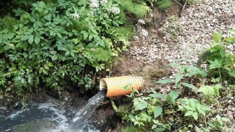 Фото: Министерство экологии и природопользования Московской области