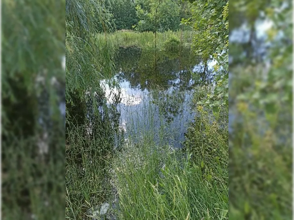 Фото: Надежда Пупшева