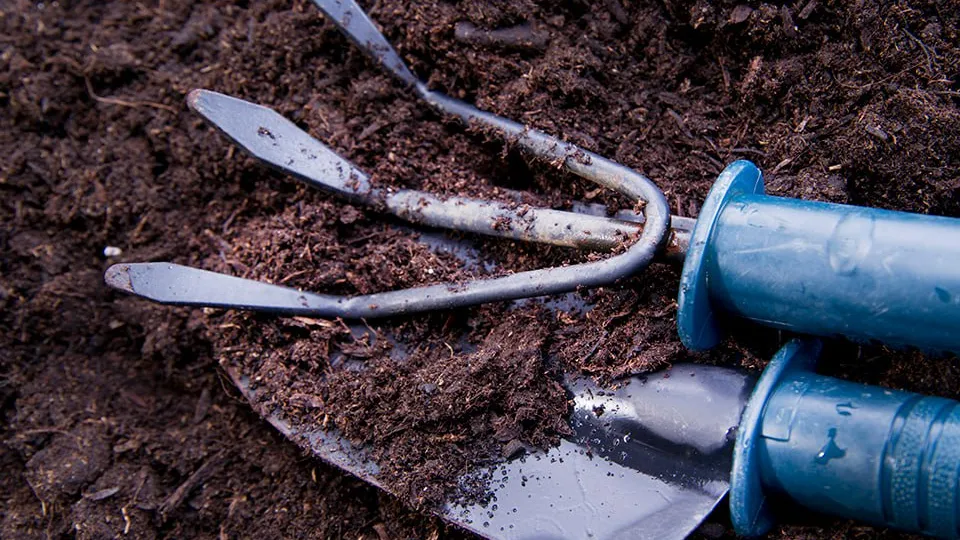 Фото: istockphoto.com/fotografiche