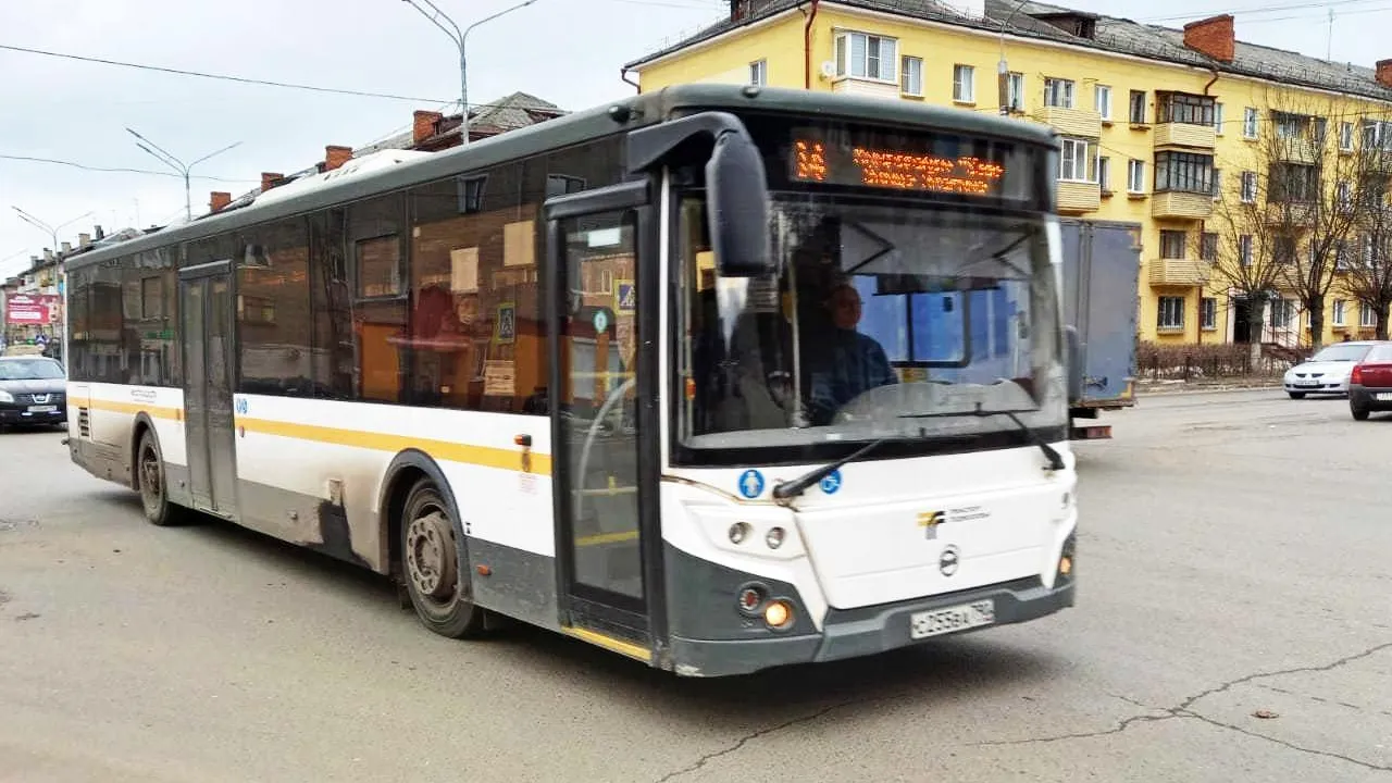 Фото: Нина Басистая