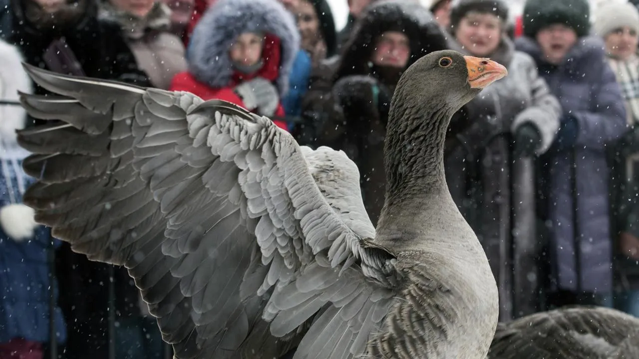 РИА Новости/Илья Питалев
