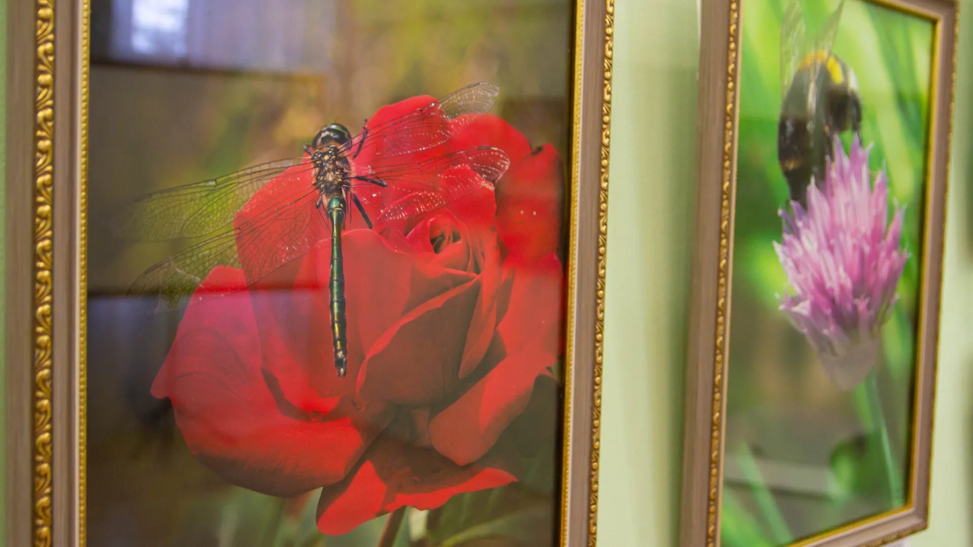 Фото: Централизованная библиотечная система г.о. Зарайск