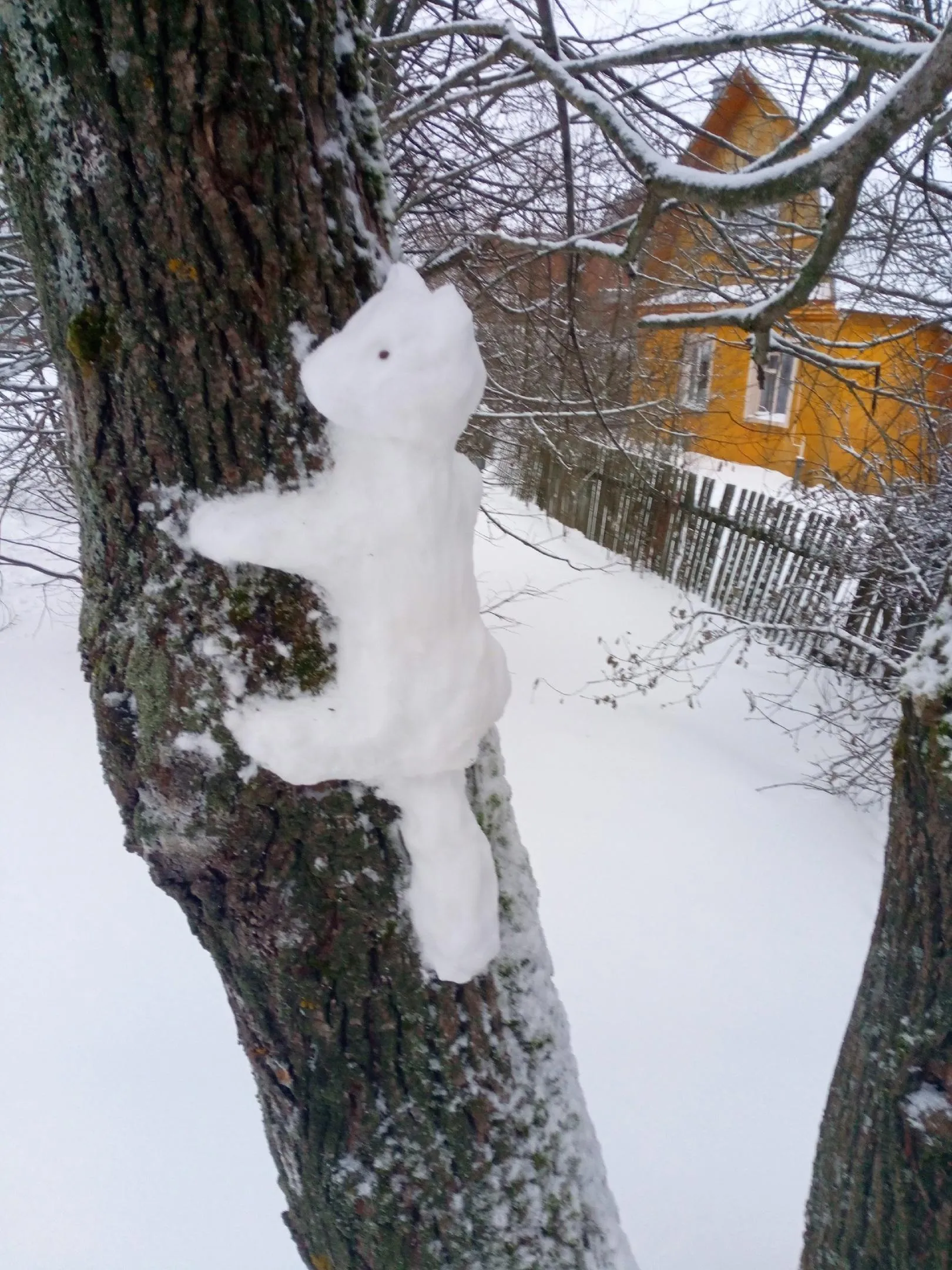 Фото: Подслушано | Истра / ВКонтакте