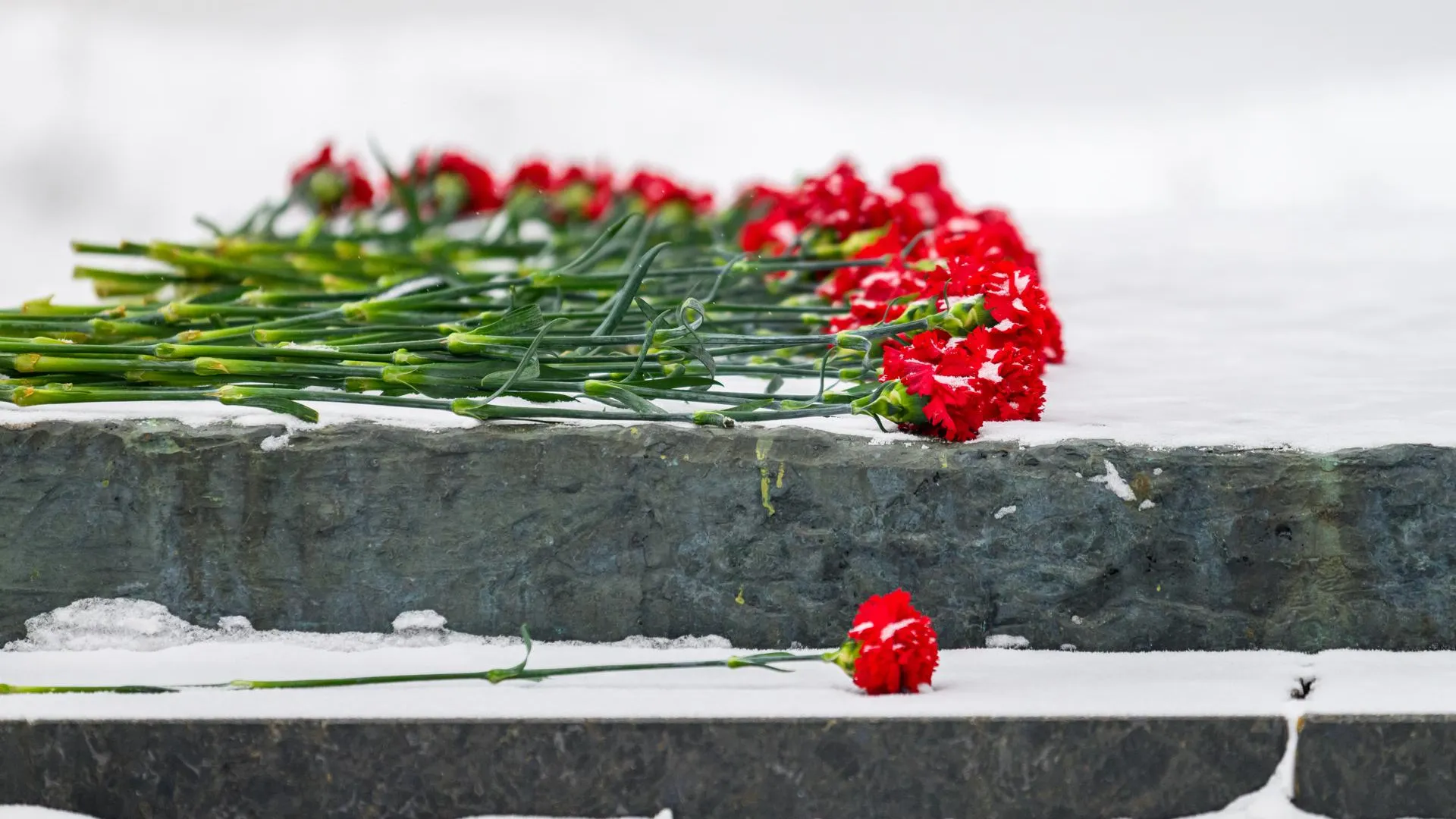 медиасток.рф