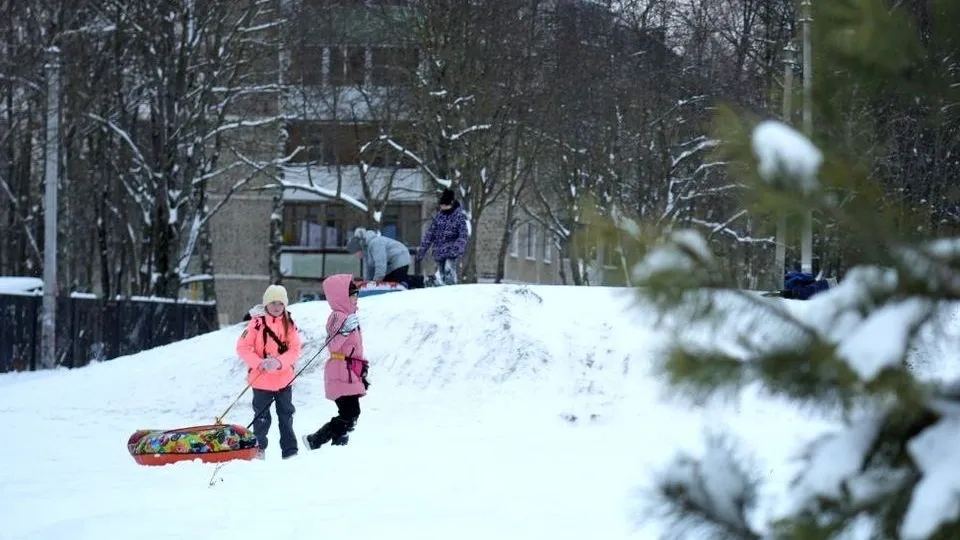 Фото: МедиаБанк Подмосковья/Дмитрий Зайчиков
