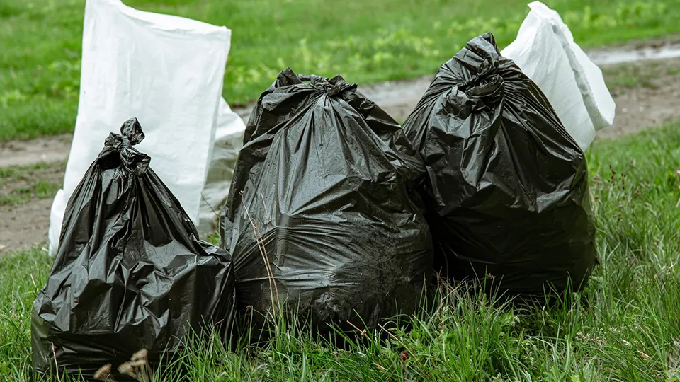 Фото: freepik.com