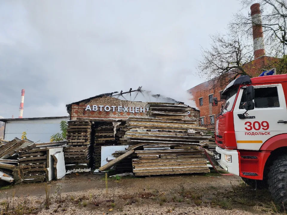 Фото: МедиаБанк Подмосковья/Мария Шигорева