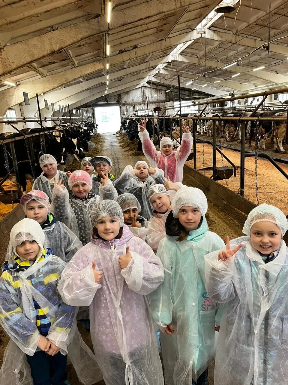 Фото: t.me/vestnik_elinar