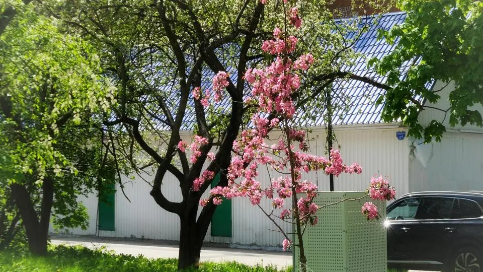 Фото: Мария Панина