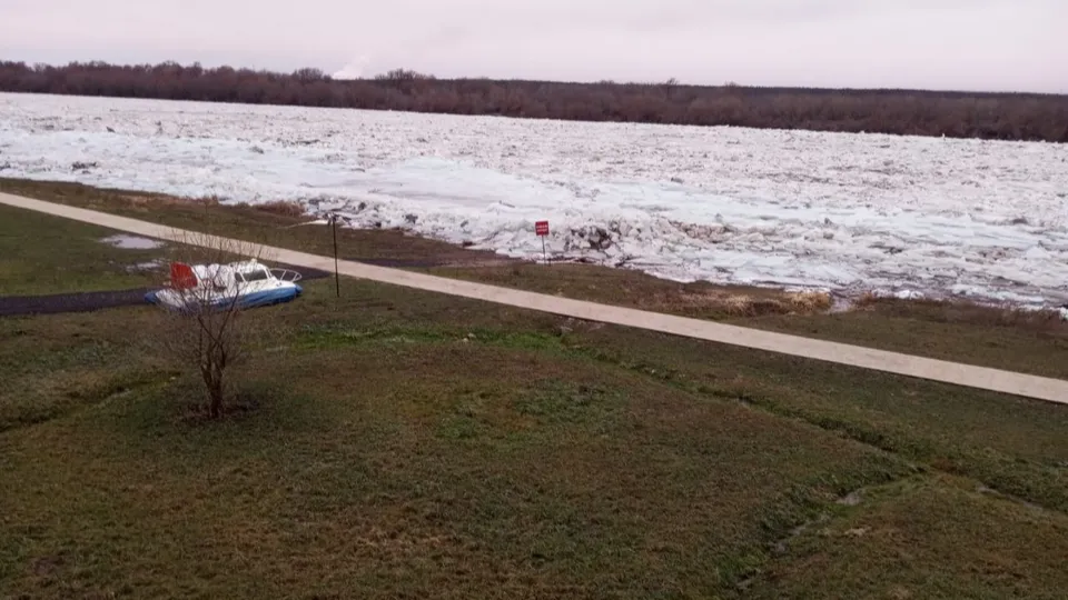 Фото: пресс-служба администрации г. о. Кашира