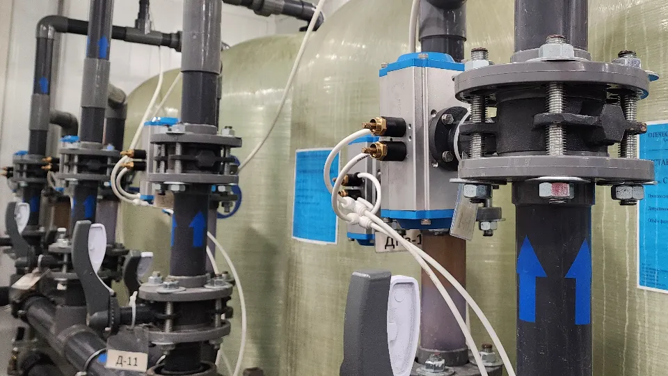 Фото: МедиаБанк Подмосковья/Ольга Егиян