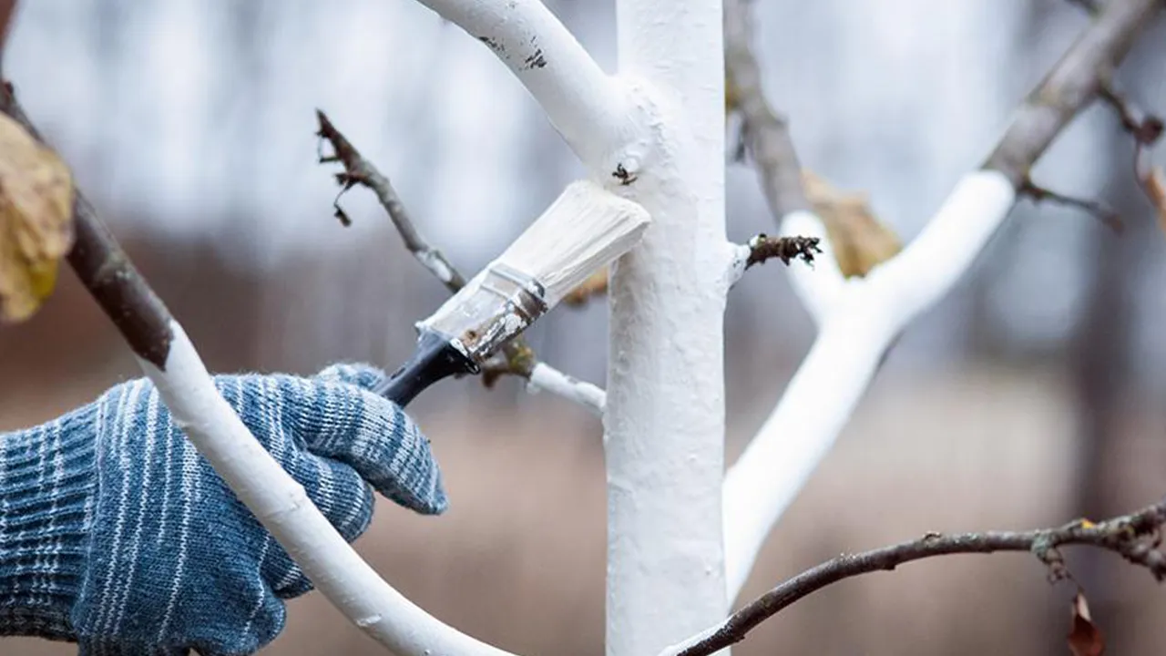 istockphoto.com/Nadya So