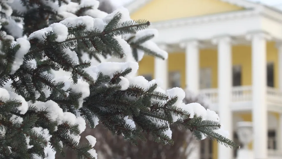 Фото: Государственный исторический музей-заповедник «Горки Ленинские»