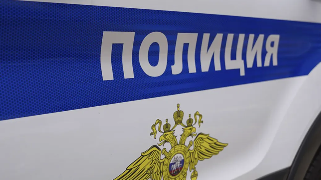 Фото: телеграм-канал «Подмосковная полиция»