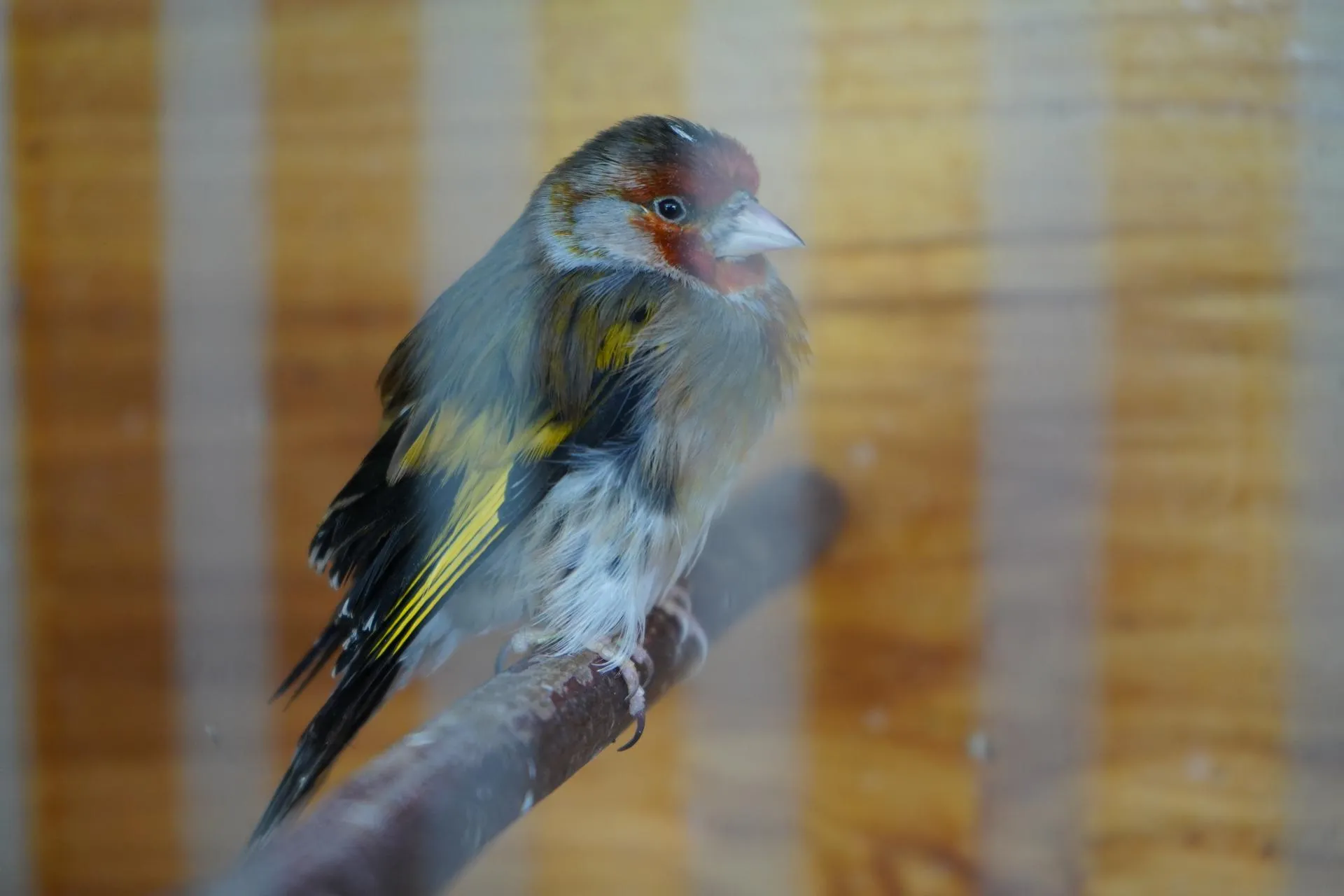 Фото: Екатерина Елисеева&nbsp;