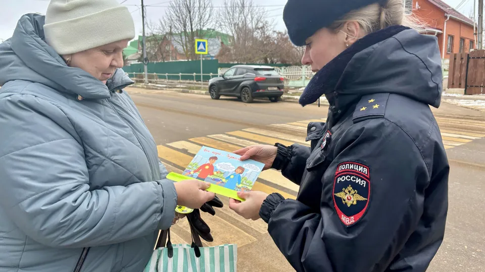 Фото: Госавтоинспекция г.о. Серебряные Пруды