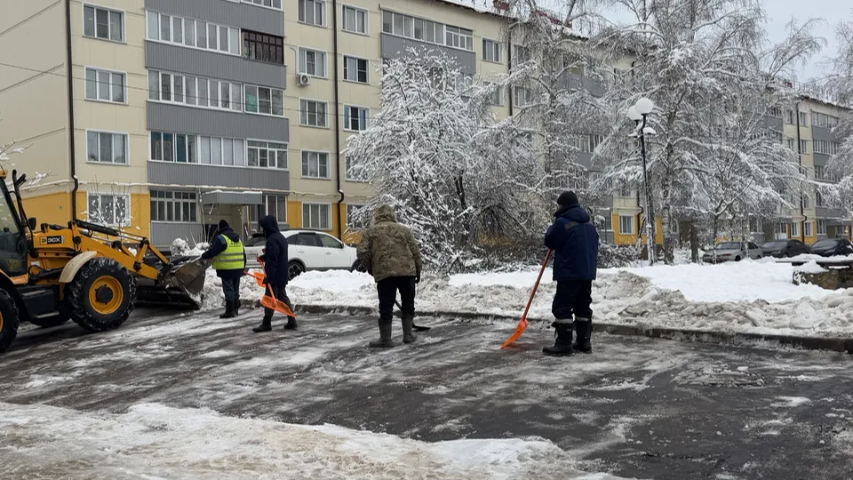 Фото: МедиаБанк Подмосковья/Татьяна Рунова
