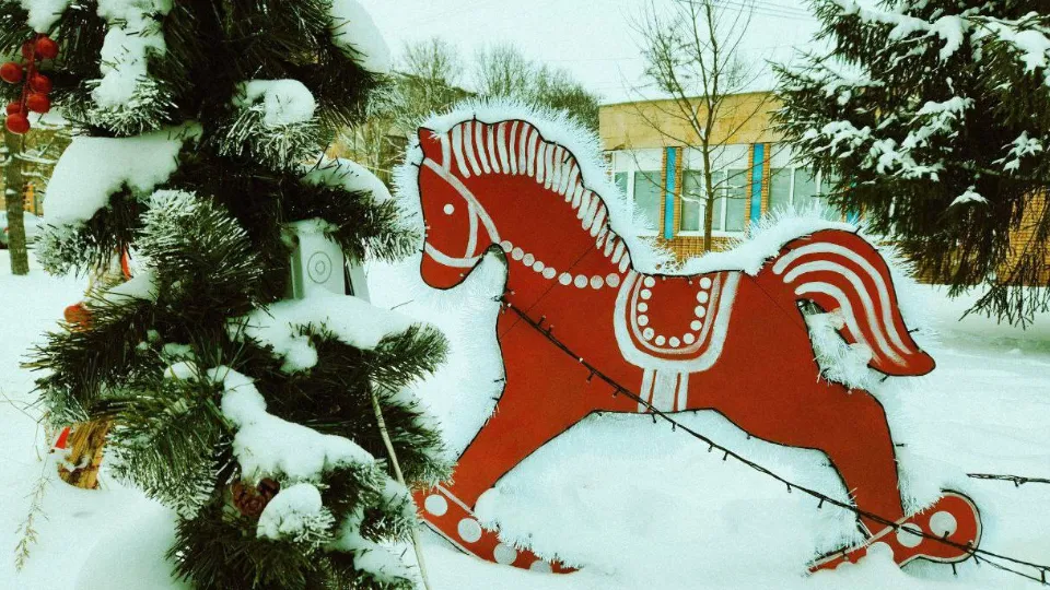 Фото: t.me/adm_mgo