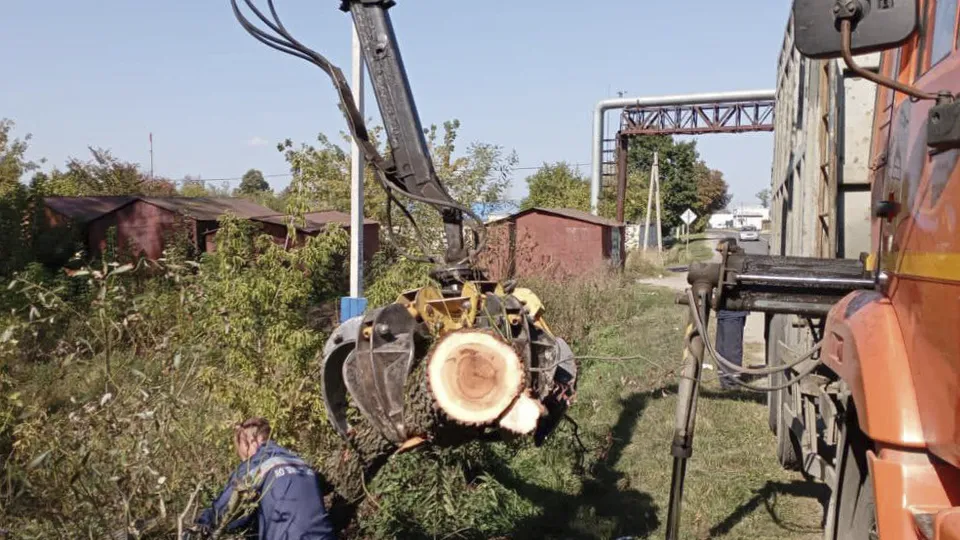 Фото: пресс-служба Администрации г.о. Ступино