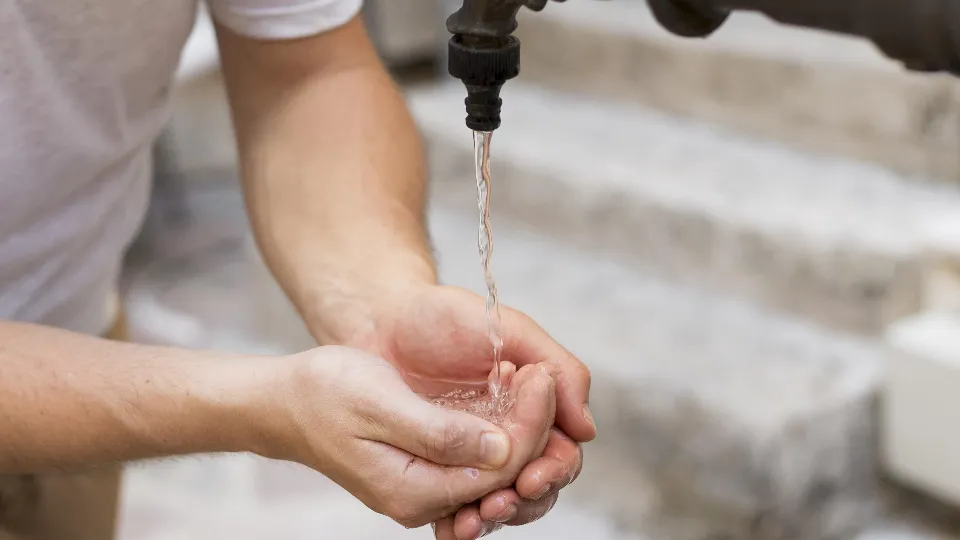 Фото: freepik.com