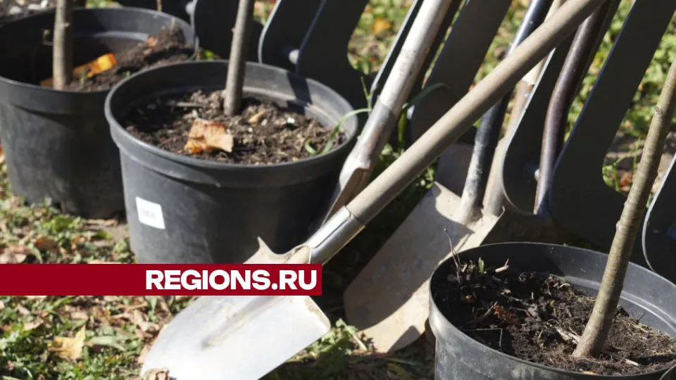 Фото: Дмитрий Зайчиков