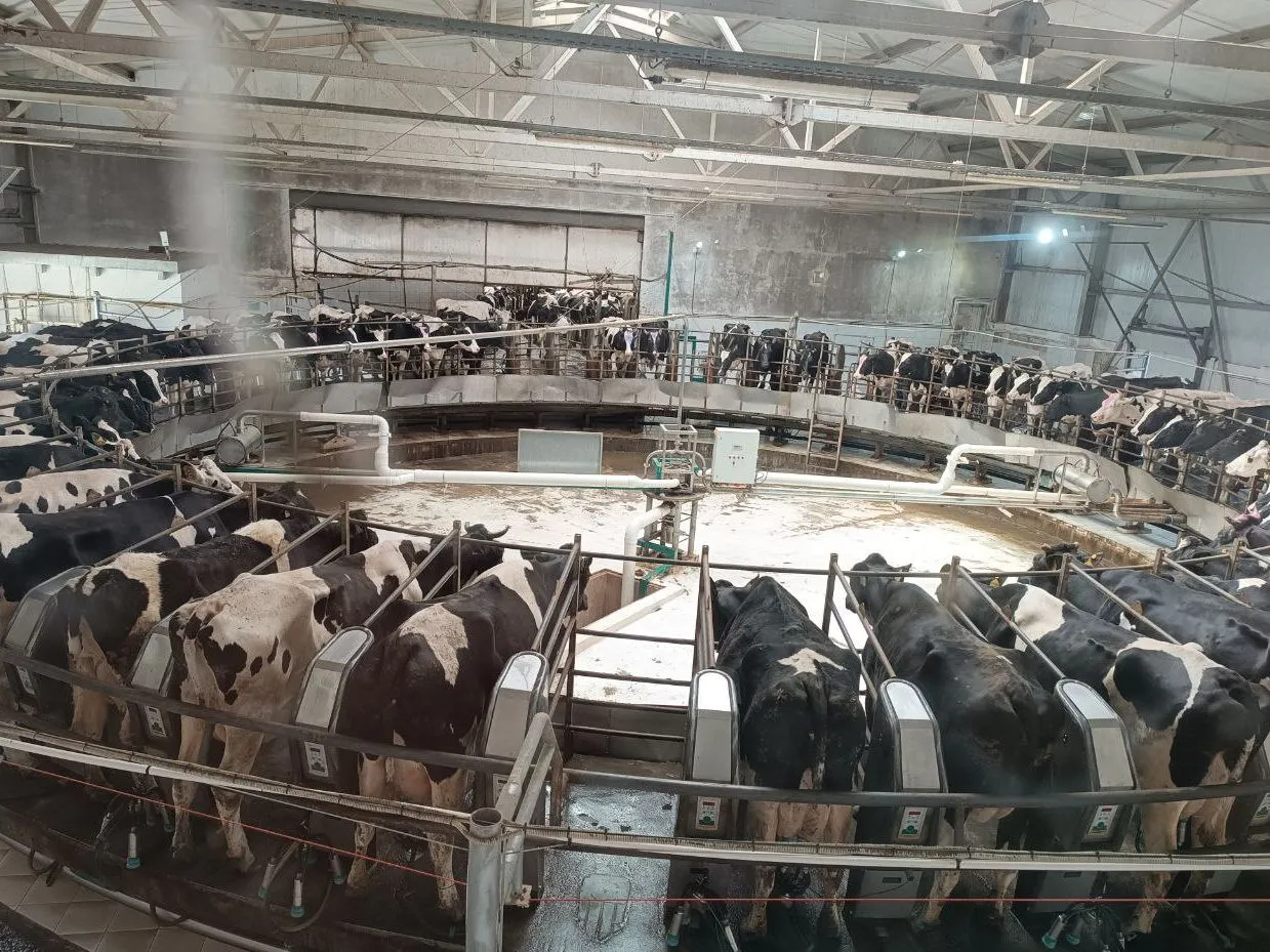 Фото: t.me/mmtehnikum