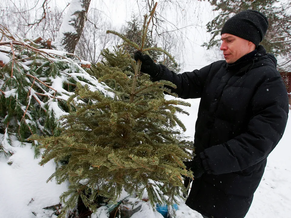 Фото: ТАСС/Сергей Фадеичев