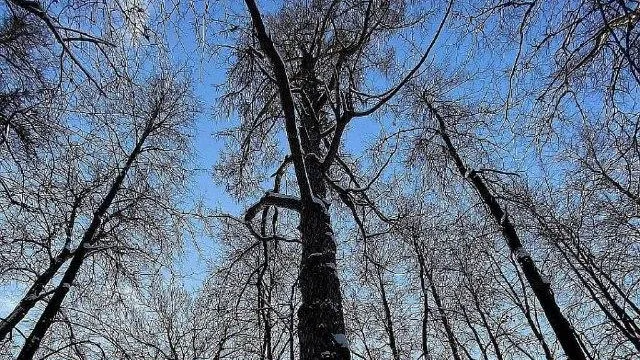 Пресс-служба администрации городского округа Воскресенск