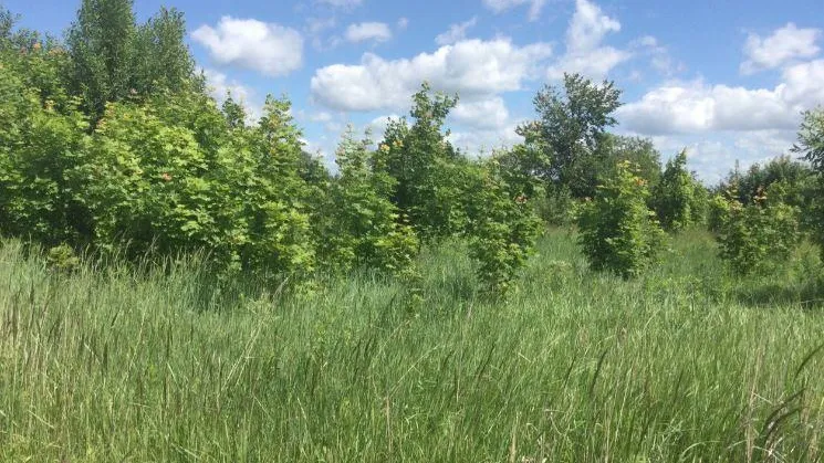 Фото: Комитет по конкурентной политике МО