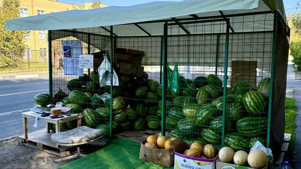 Фото: администрация г.о. Красногорск