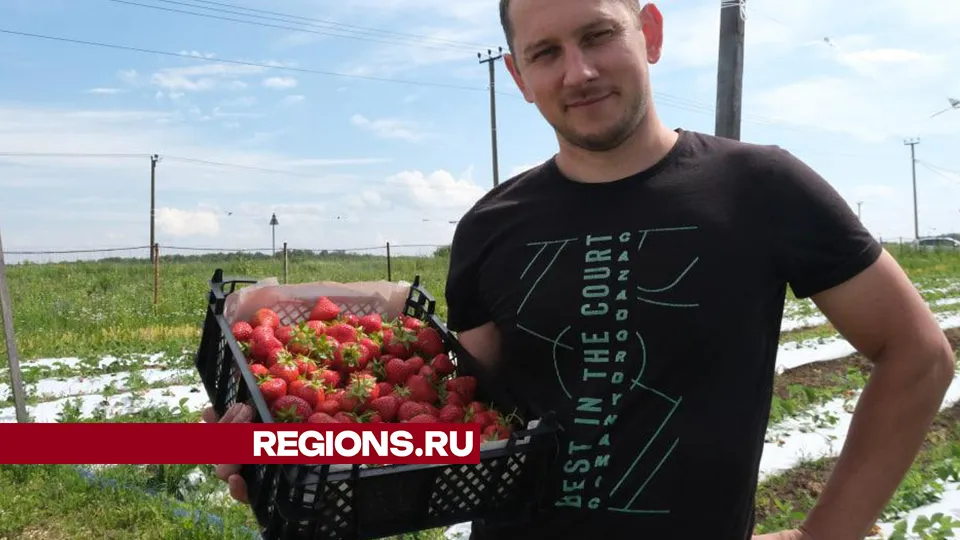 Фото: Мария Панина