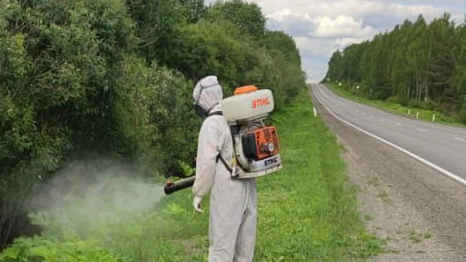 Фото: t.me/lytkarino_healthy