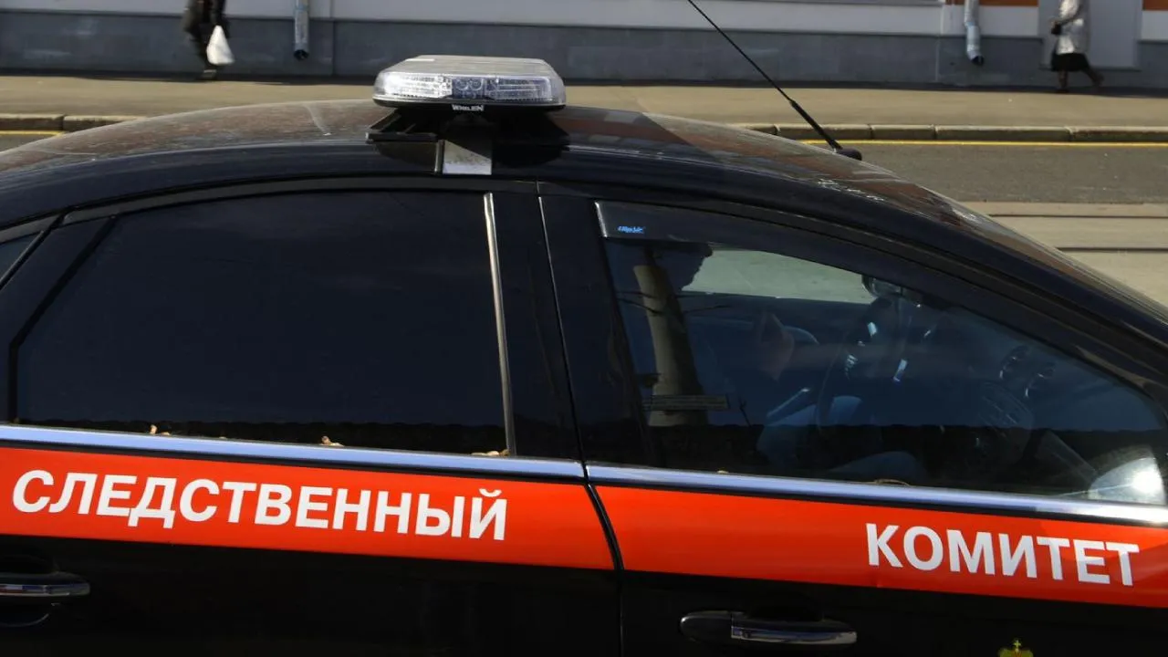 В Щелково завели уголовное дело на охранника ТЦ, избившего подростка