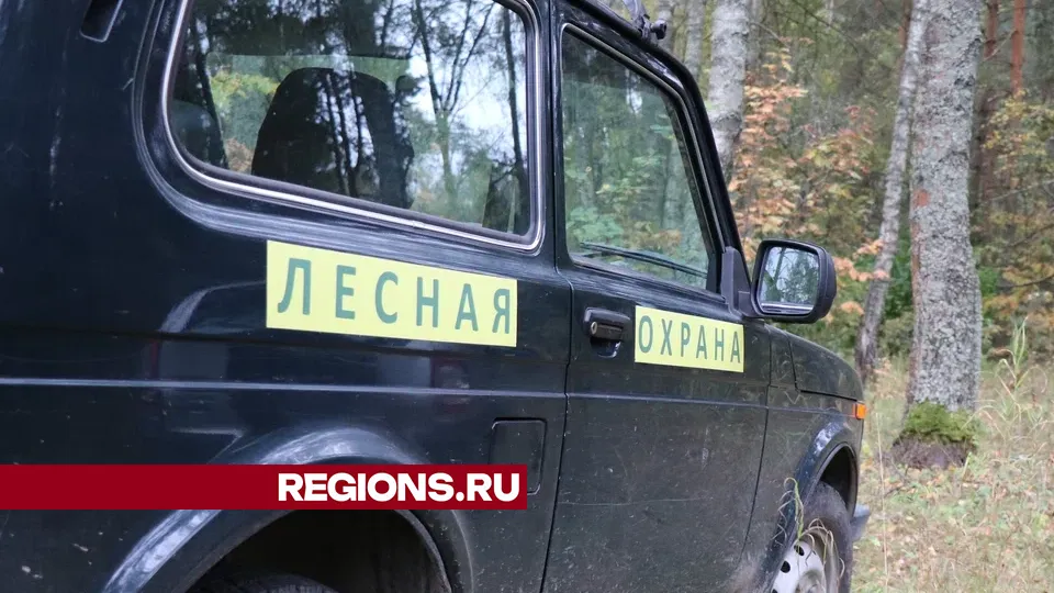 Фото: REGIONS/Василий Тремасов