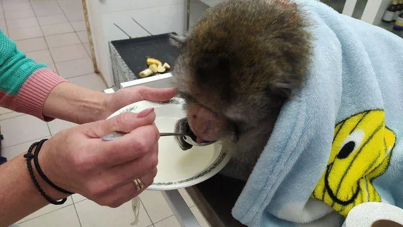 Минсельхоз МО