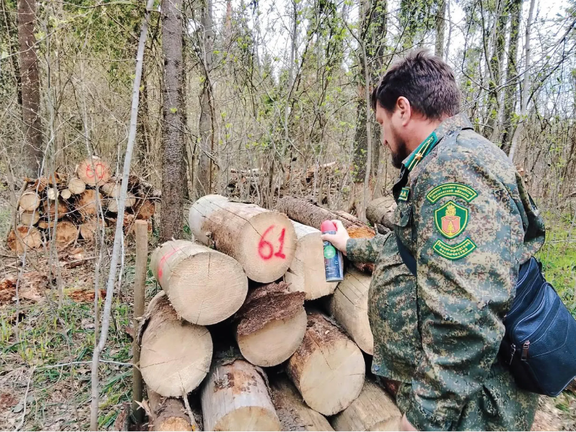 Фото: Комлесхоз МО