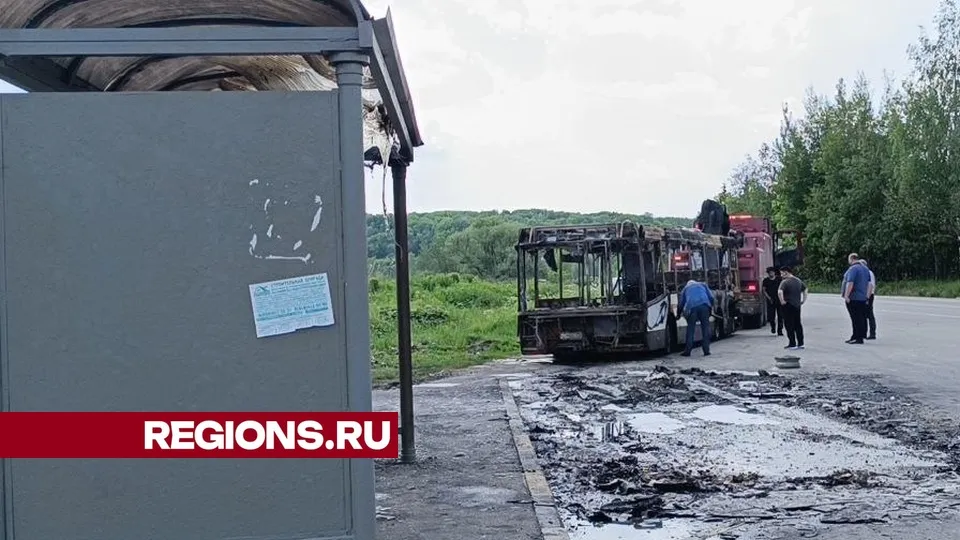 Фото: REGIONS/Екатерина Дятловская