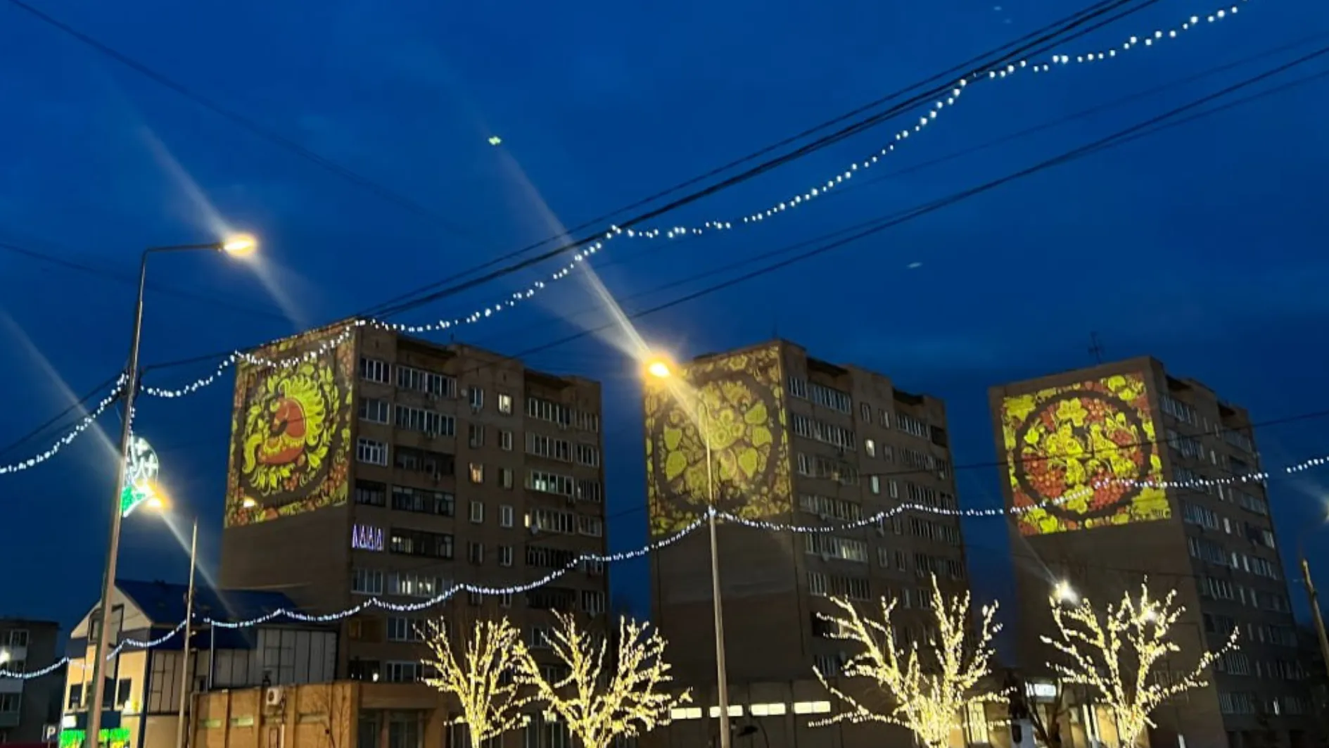 Фото: пресс-служба администрации м.о. Шатура