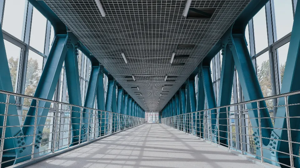 Фото: пресс-служба администрации г.о. Химки