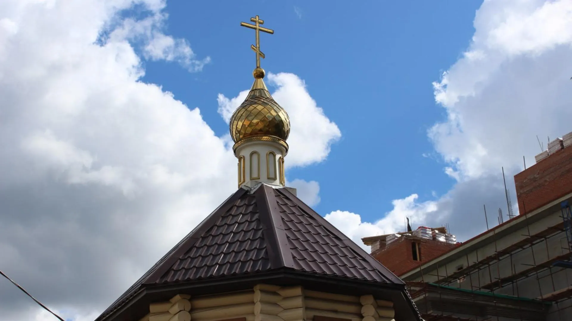 Фото: Анастасия Широкая