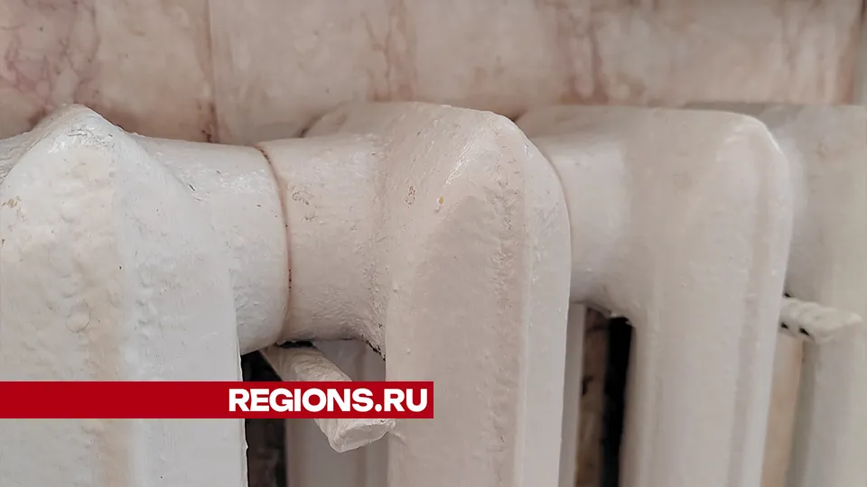 Фото: REGIONS/Евгений Мазепов