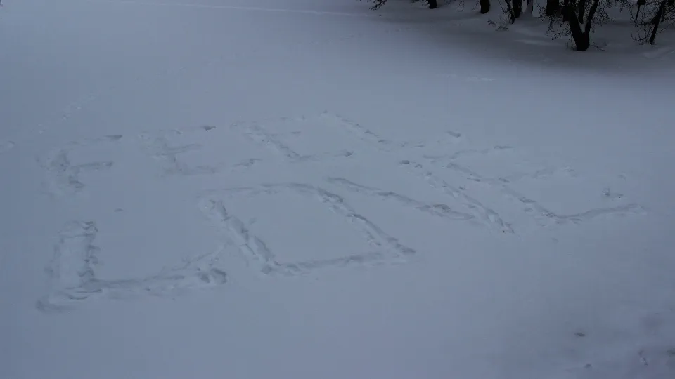 Фото: REGIONS/Василий Тремасов