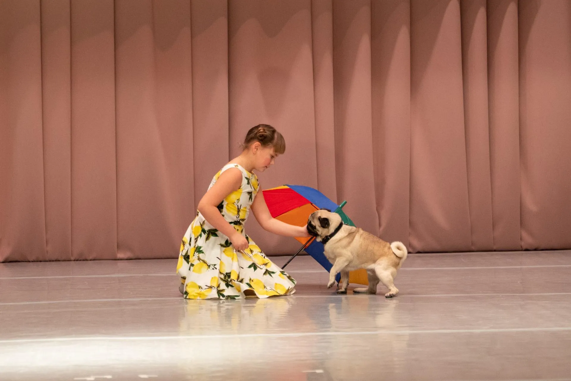 Фото: Владимир Думчев