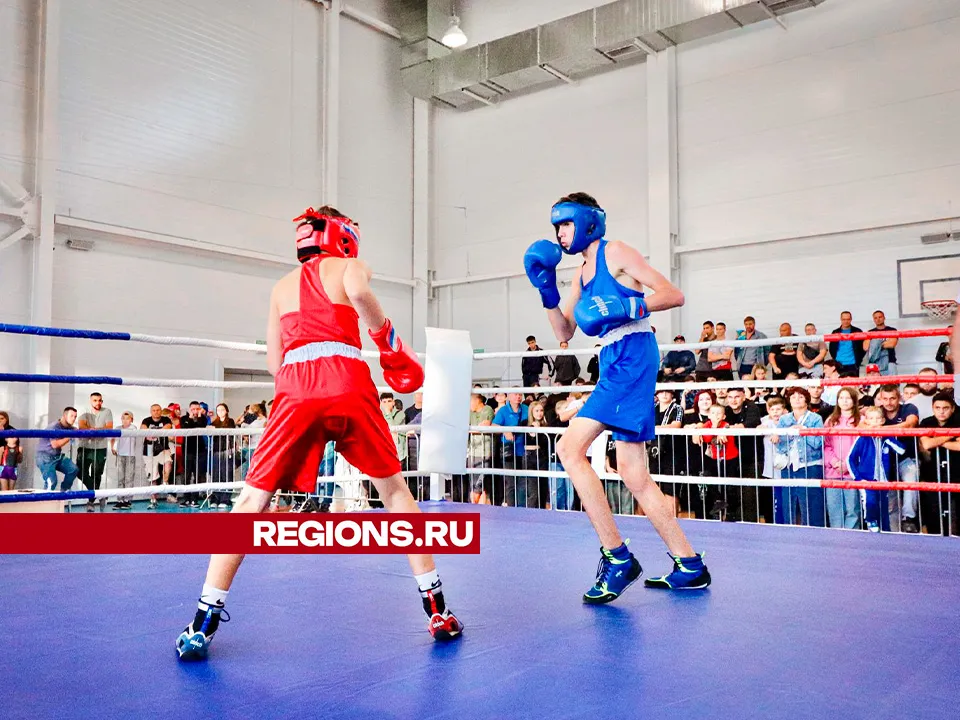 Фото: Данила Кирьянов&nbsp;