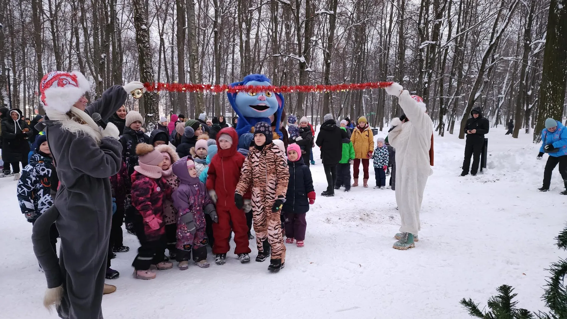 Фото: Валерия Тингаева
