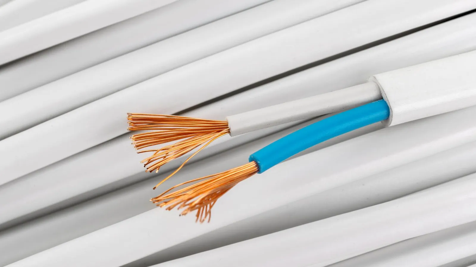 Фото: freepik.com/fabrikasimf