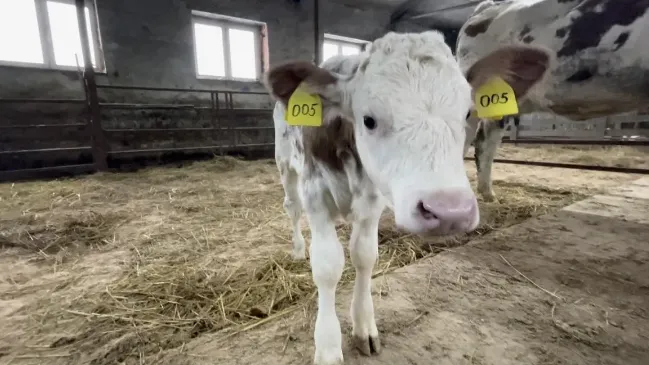 Фото: Соцсети