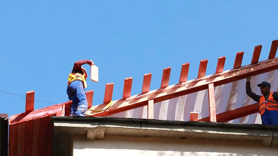 Фото: МедиаБанк Подмосковья/Андрей Алекин