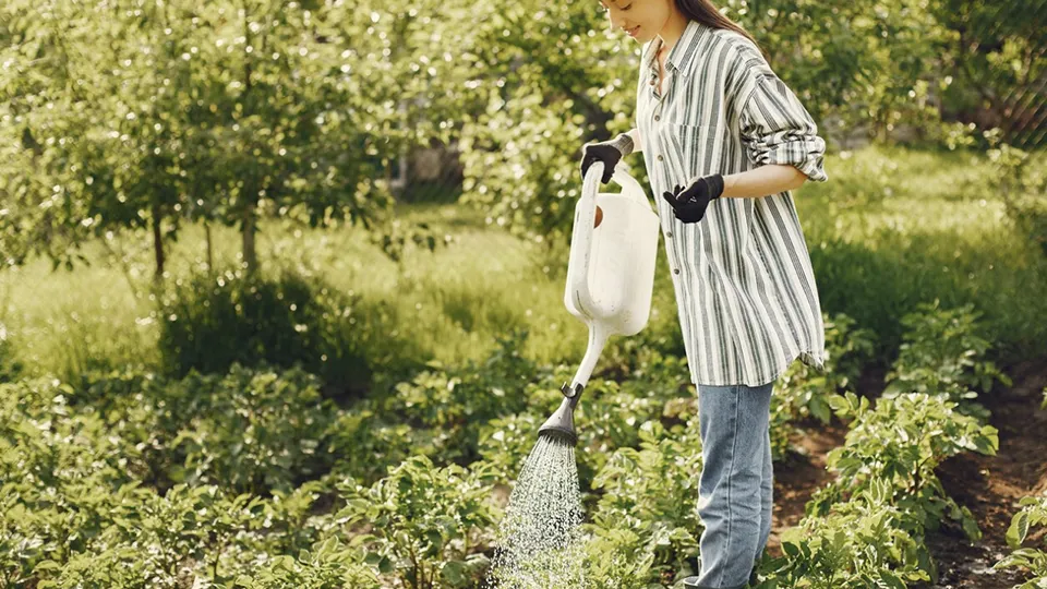 Фото: freepik.com