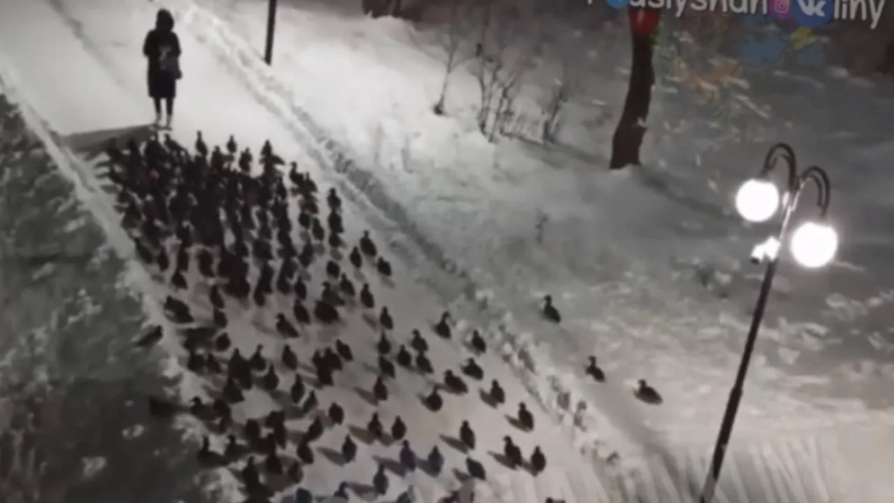 фото: соцсети